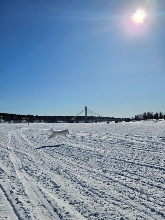 Make Yourself At Home Rovaniemi Dış mekan fotoğraf