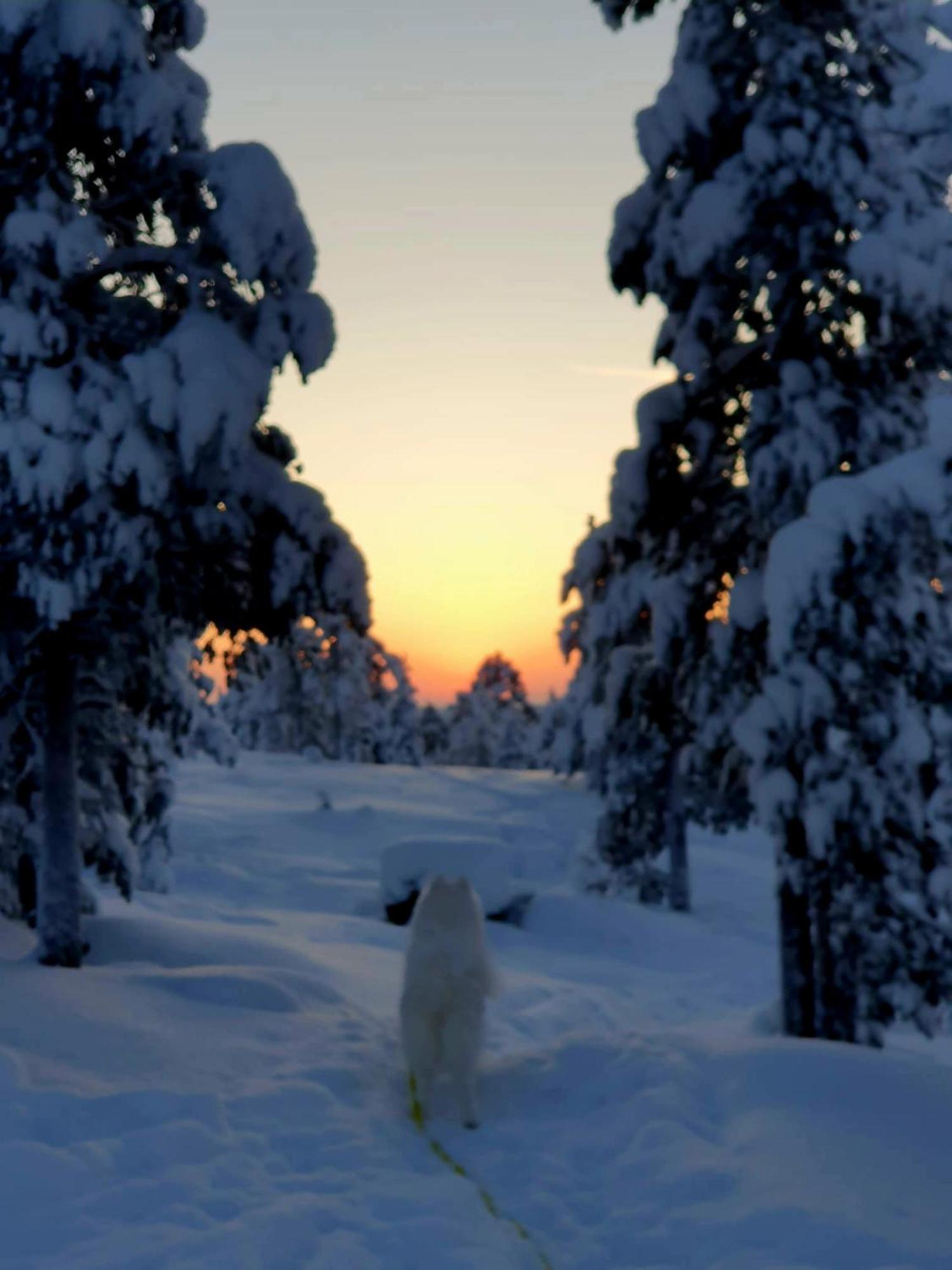 Make Yourself At Home Rovaniemi Dış mekan fotoğraf